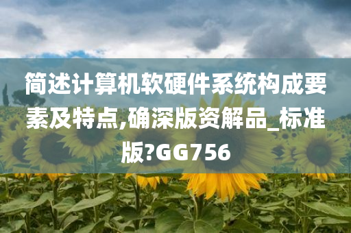 简述计算机软硬件系统构成要素及特点,确深版资解品_标准版?GG756