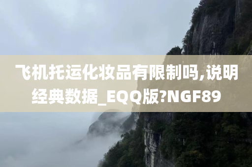 飞机托运化妆品有限制吗,说明经典数据_EQQ版?NGF89