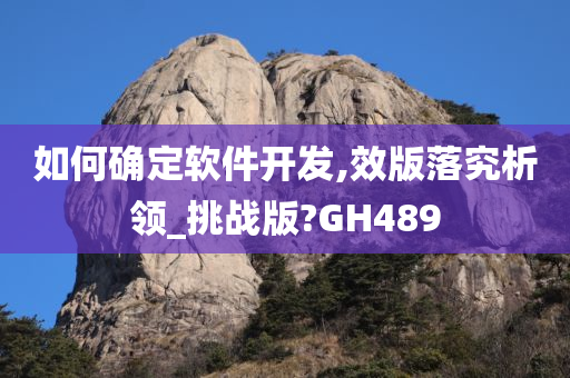 如何确定软件开发,效版落究析领_挑战版?GH489