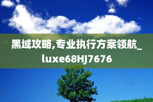 黑域攻略,专业执行方案领航_luxe68HJ7676