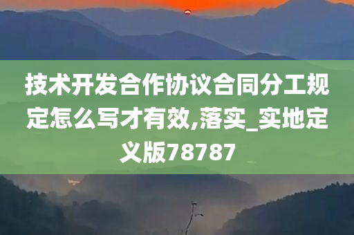 技术开发合作协议合同分工规定怎么写才有效,落实_实地定义版78787