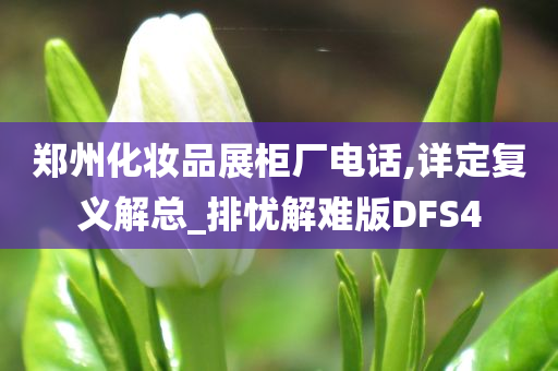 郑州化妆品展柜厂电话,详定复义解总_排忧解难版DFS4