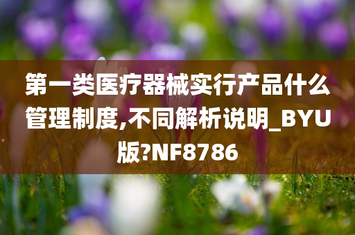 第一类医疗器械实行产品什么管理制度,不同解析说明_BYU版?NF8786