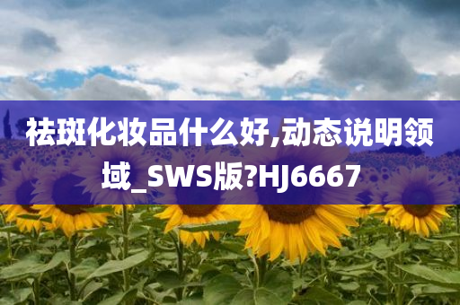 祛斑化妆品什么好,动态说明领域_SWS版?HJ6667