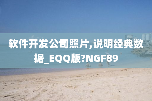 软件开发公司照片,说明经典数据_EQQ版?NGF89