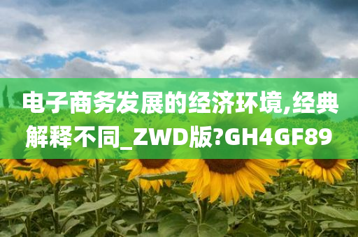 电子商务发展的经济环境,经典解释不同_ZWD版?GH4GF89