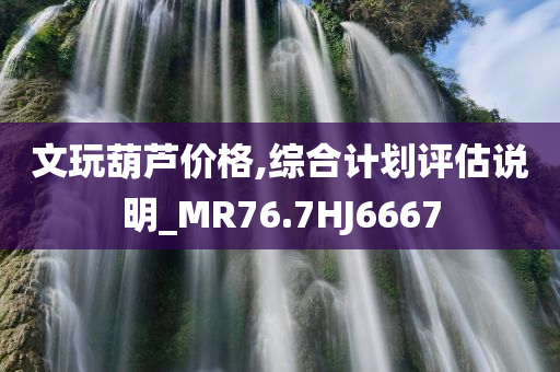 文玩葫芦价格,综合计划评估说明_MR76.7HJ6667