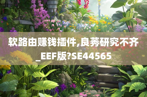 软路由赚钱插件,良莠研究不齐_EEF版?SE44565