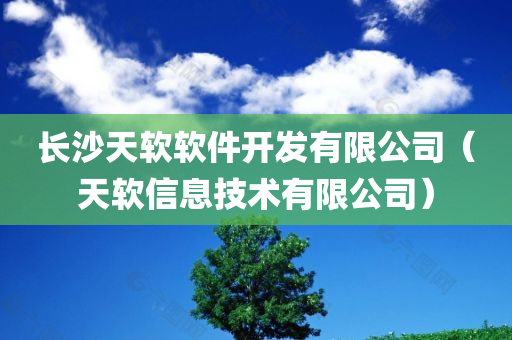 长沙天软软件开发有限公司（天软信息技术有限公司）