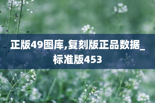 正版49图库,复刻版正品数据_标准版453