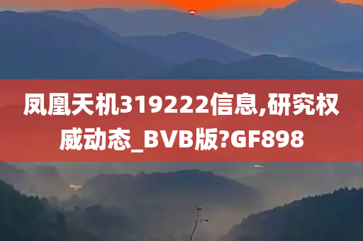 凤凰天机319222信息,研究权威动态_BVB版?GF898