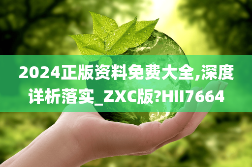 2024正版资料免费大全,深度详析落实_ZXC版?HII7664