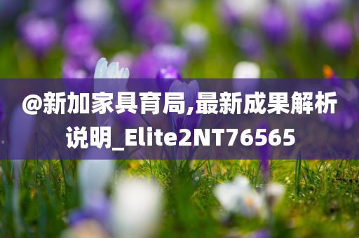 @新加家具育局,最新成果解析说明_Elite2NT76565