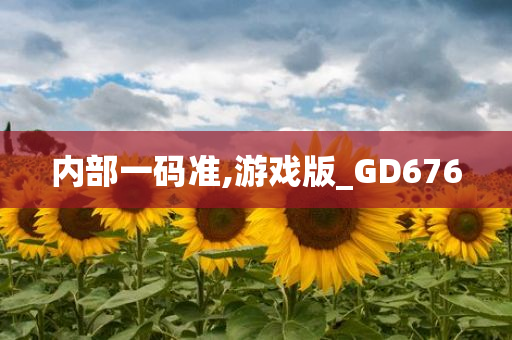 内部一码准,游戏版_GD676