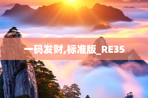 一码发财,标准版_RE35