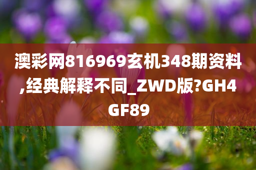 澳彩网816969玄机348期资料,经典解释不同_ZWD版?GH4GF89