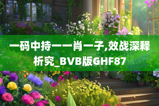 一码中持一一肖一子,效战深释析究_BVB版GHF87