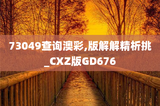 73049查询澳彩,版解解精析挑_CXZ版GD676