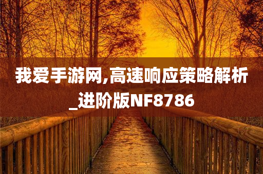 我爱手游网,高速响应策略解析_进阶版NF8786