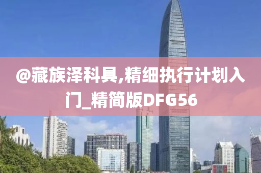 @藏族泽科具,精细执行计划入门_精简版DFG56