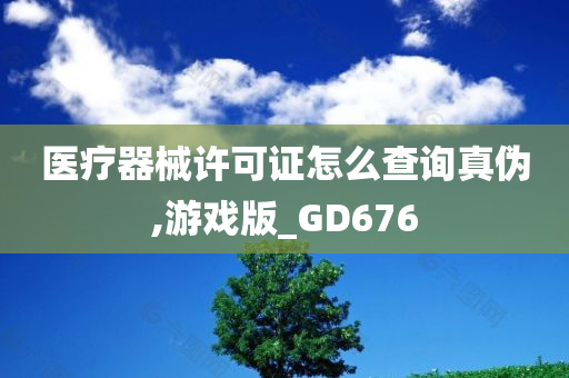 医疗器械许可证怎么查询真伪,游戏版_GD676