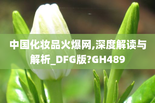 中国化妆品火爆网,深度解读与解析_DFG版?GH489