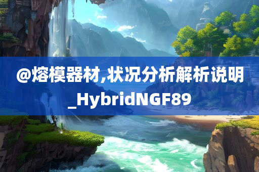 @熔模器材,状况分析解析说明_HybridNGF89