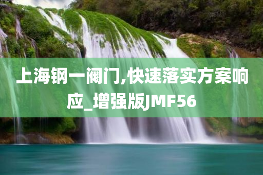 上海钢一阀门,快速落实方案响应_增强版JMF56