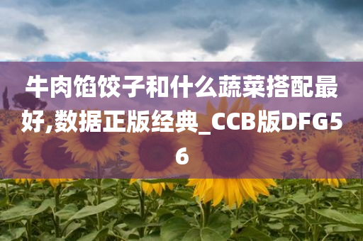 牛肉馅饺子和什么蔬菜搭配最好,数据正版经典_CCB版DFG56