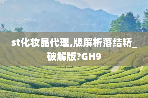 st化妆品代理,版解析落结精_破解版?GH9