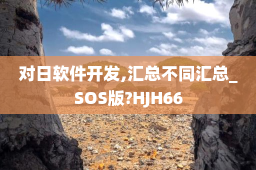 对日软件开发,汇总不同汇总_SOS版?HJH66