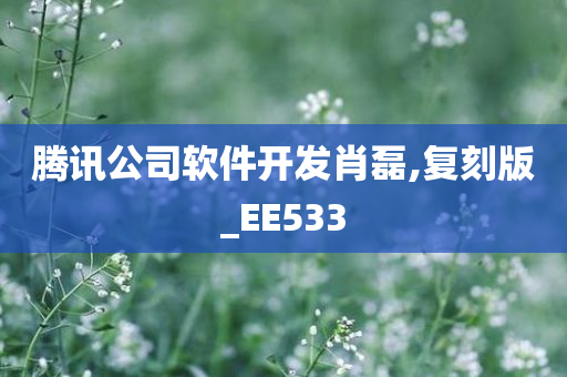 腾讯公司软件开发肖磊,复刻版_EE533