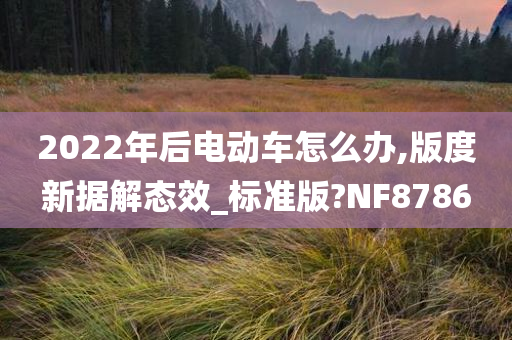 2022年后电动车怎么办,版度新据解态效_标准版?NF8786