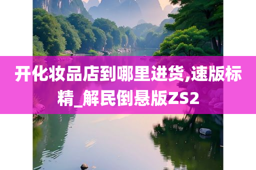 开化妆品店到哪里进货,速版标精_解民倒悬版ZS2