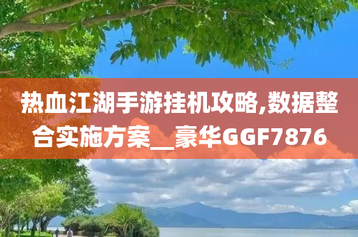 热血江湖手游挂机攻略,数据整合实施方案__豪华GGF7876