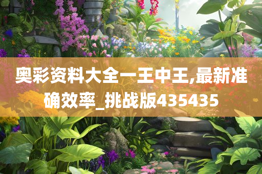 奥彩资料大全一王中王,最新准确效率_挑战版435435