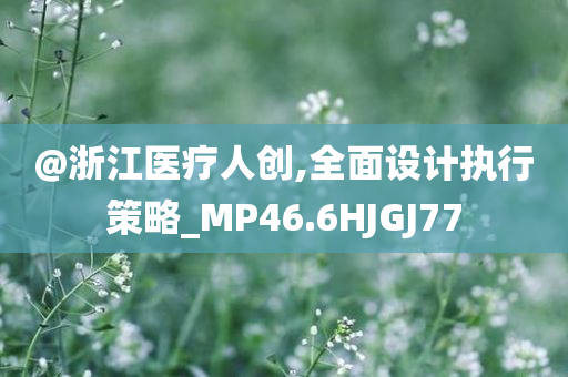 @浙江医疗人创,全面设计执行策略_MP46.6HJGJ77