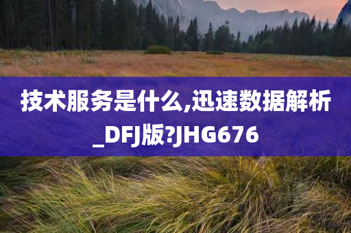 技术服务是什么,迅速数据解析_DFJ版?JHG676