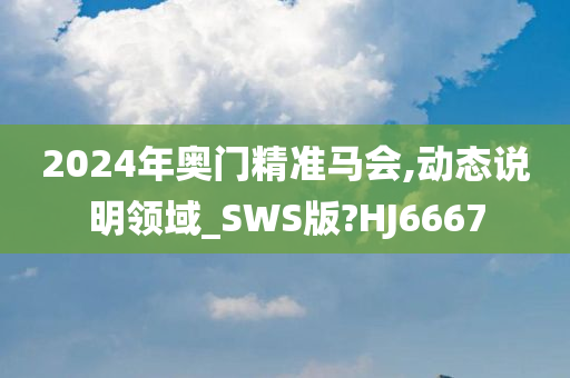 2024年奥门精准马会,动态说明领域_SWS版?HJ6667