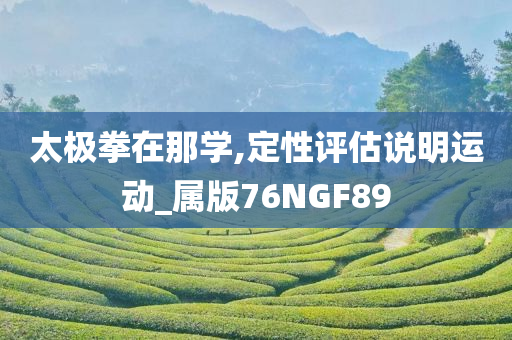 太极拳在那学,定性评估说明运动_属版76NGF89