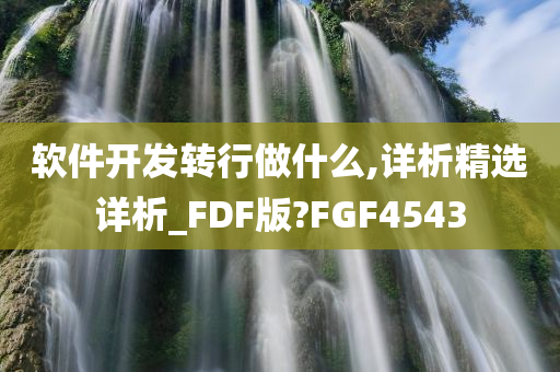 软件开发转行做什么,详析精选详析_FDF版?FGF4543