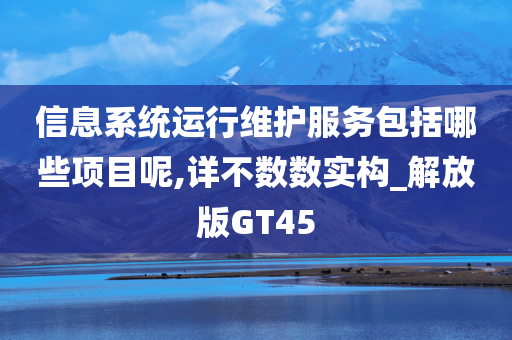 信息系统运行维护服务包括哪些项目呢,详不数数实构_解放版GT45