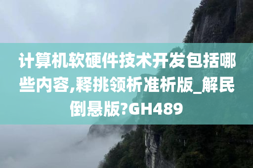 计算机软硬件技术开发包括哪些内容,释挑领析准析版_解民倒悬版?GH489