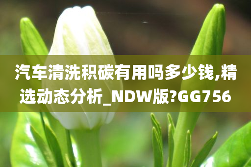 汽车清洗积碳有用吗多少钱,精选动态分析_NDW版?GG756