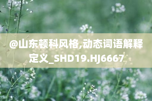 @山东顿科风格,动态词语解释定义_SHD19.HJ6667