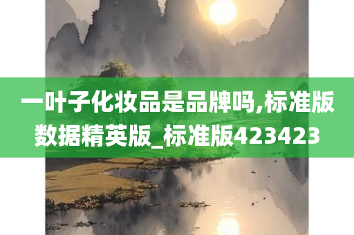 一叶子化妆品是品牌吗,标准版数据精英版_标准版423423