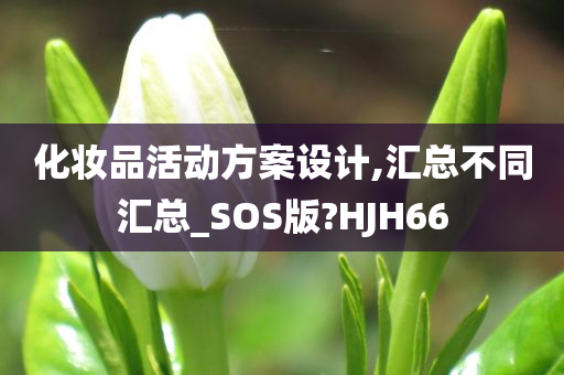 化妆品活动方案设计,汇总不同汇总_SOS版?HJH66