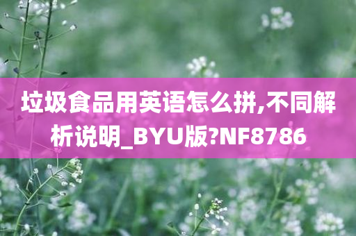 垃圾食品用英语怎么拼,不同解析说明_BYU版?NF8786