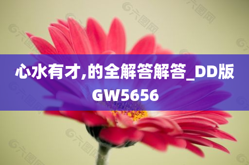 GW5656 第2页