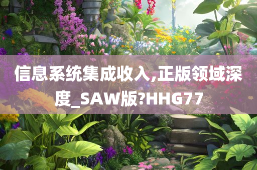 信息系统集成收入,正版领域深度_SAW版?HHG77